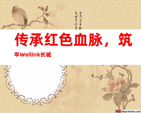 传承红色血脉，筑牢Weilink长城